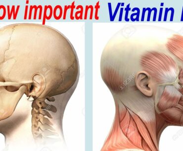 Average Vitamin D Level | How Important is Vitamin D? | What is vitamin D deficiency? |Fitness Facts