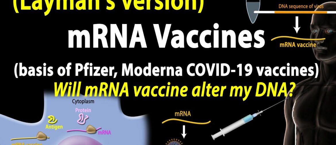 mRNA Vaccines - Layman’s version (Pfizer/Moderna COVID-19 vaccines), plus some FAQs, Animation.