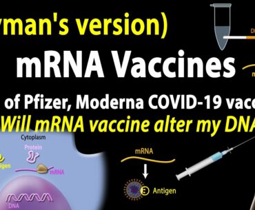 mRNA Vaccines - Layman’s version (Pfizer/Moderna COVID-19 vaccines), plus some FAQs, Animation.