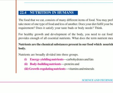 Life Process 1 | Nutrition | NIOS science class X chapter 22 | Malayalam