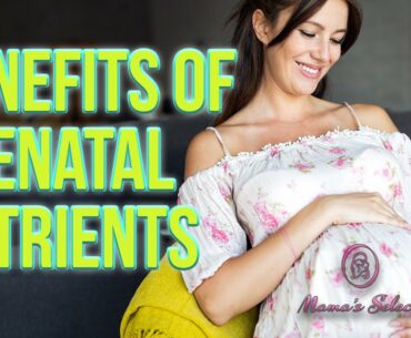 Benefits of Prenatal Nutrients and Where to Get them From