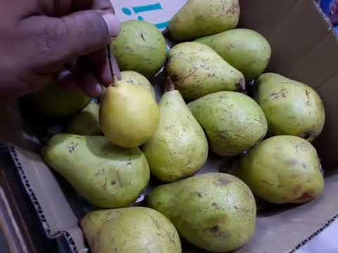 FRUITS FOR HUMAN BODY/SOURCE OF VITAMIN/MY DREAM ONLINE CHANNEL/INTRODUCING VIDEO