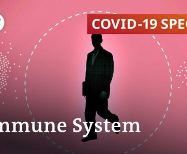 Does immune protection play any part in COVID-19 severity? | COVID-19 Special