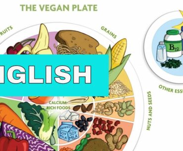 Nutrition Part 1|  Vegan Plate