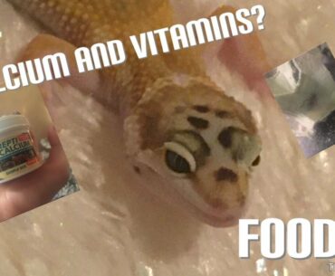Leopard gecko supplements ( Calcium and vitamins )