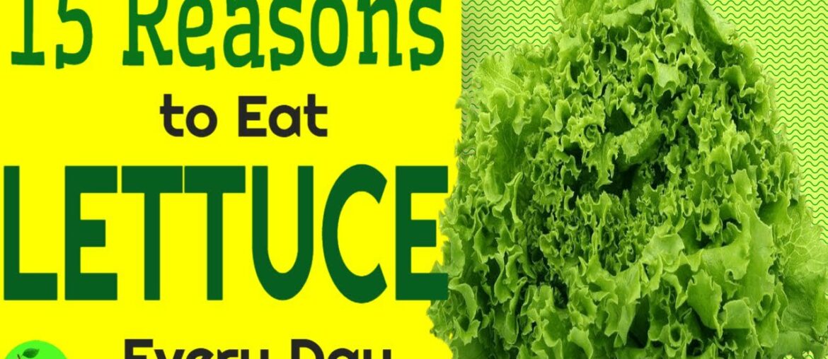 Lettuce - 15 Reasons Why You Should Need to Eat Lettuce Every Day