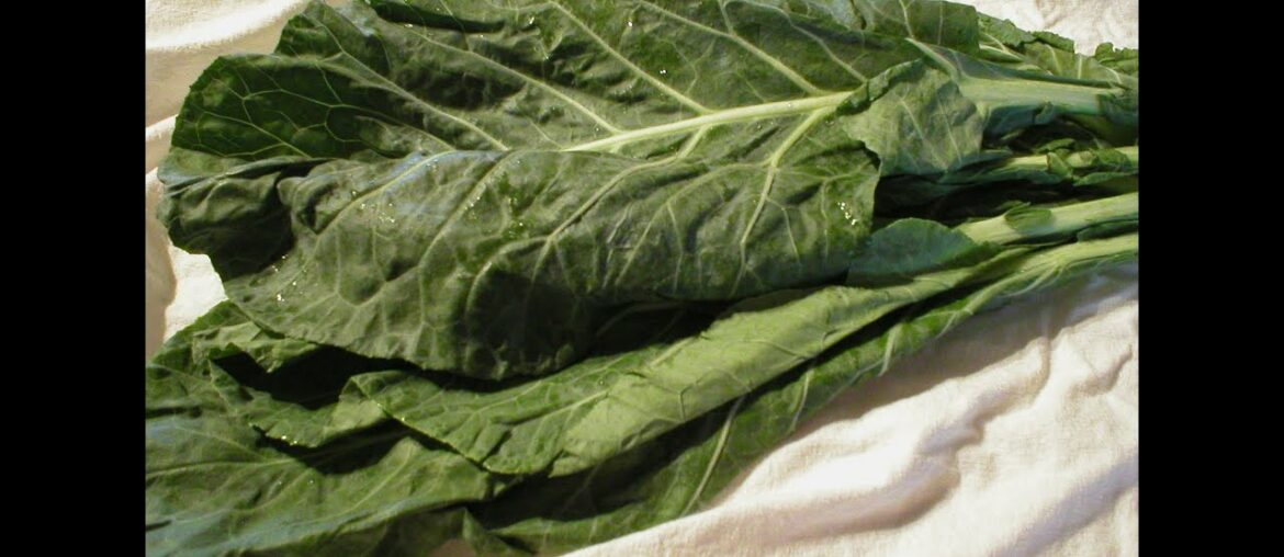 Collard Greens 101- Nutrition and Health Benefits