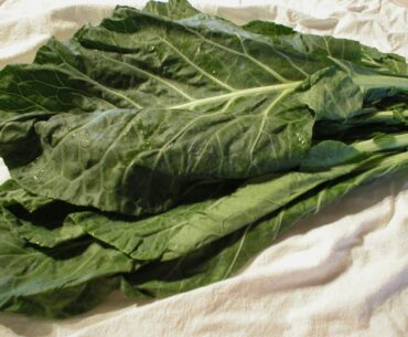 Collard Greens 101- Nutrition and Health Benefits