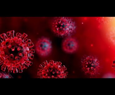 "Coronavirus"