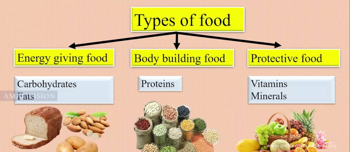 3 STD - Science - Revision : Food and Nutrition