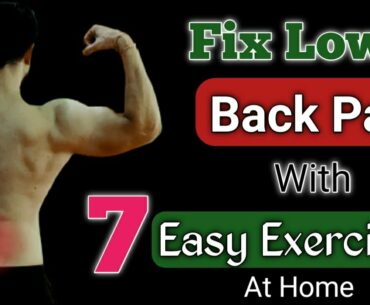 Back Pain Relief Exercises | Lower Back Pain Exercises | Fitness For You FFY