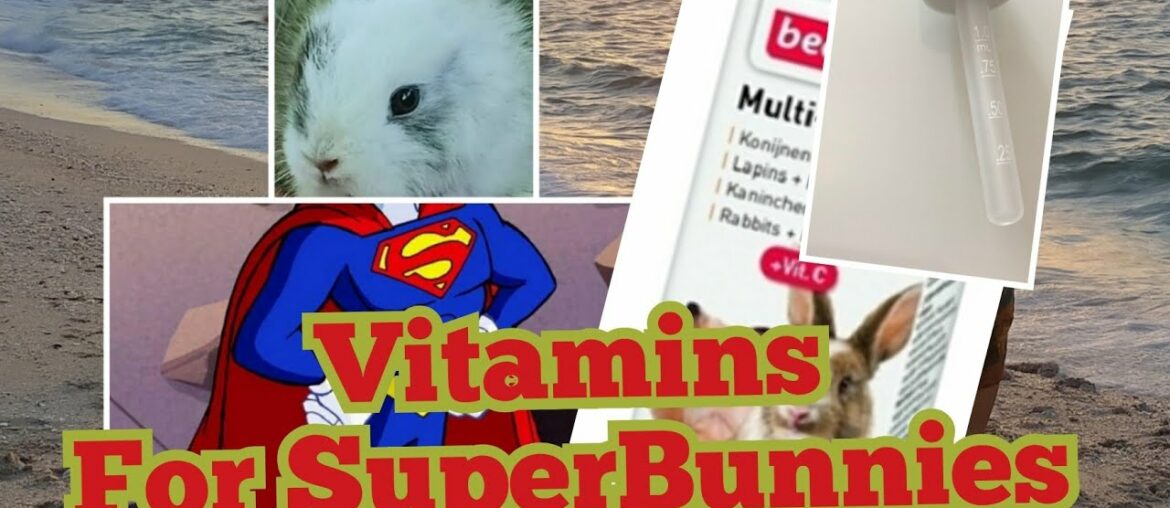 Bakit Nagbibigay ng Vitamins sa Rabbit? (Why Vitamins Supplement is Needed for Bunnies?)