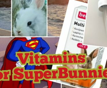 Bakit Nagbibigay ng Vitamins sa Rabbit? (Why Vitamins Supplement is Needed for Bunnies?)
