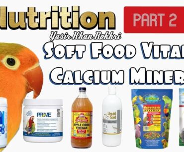 Nutrition of Lovebirds Part 2 | Soft Food, Vitamins, Calcium & Minerals.