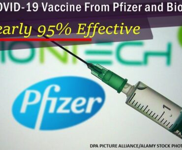 New COVID-19 Vaccine From Pfizer Nearly 95% Effective | Daily Glimpse of Science | Health