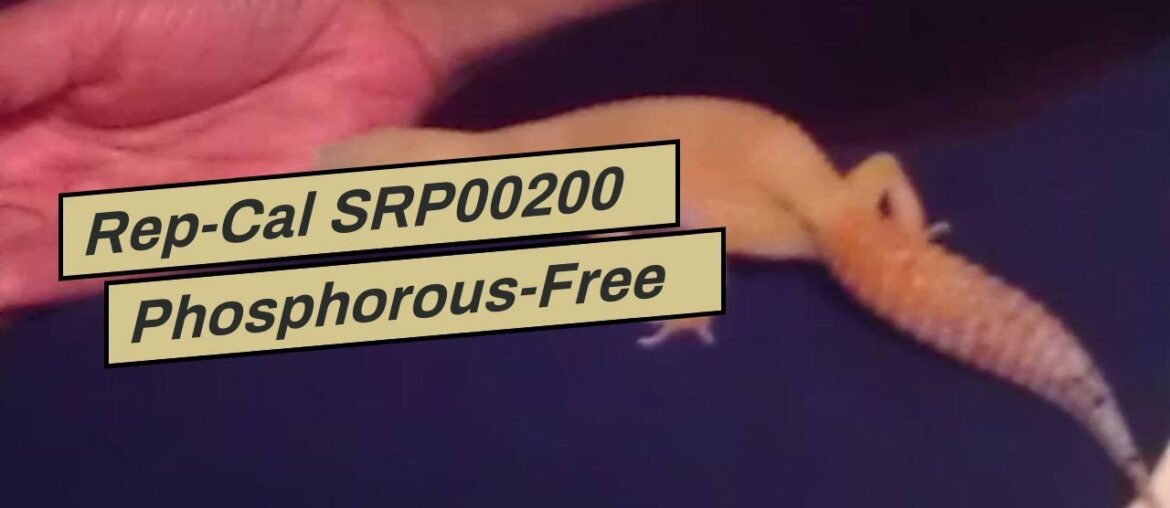 Rep-Cal SRP00200 Phosphorous-Free Calcium Ultrafine Powder Reptile/Amphibian Supplement with Vi...
