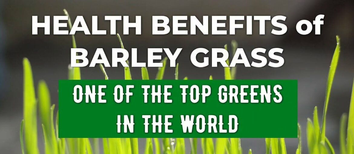 9 Amazing Health Benefits of Pure Barley Grass