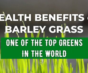 9 Amazing Health Benefits of Pure Barley Grass