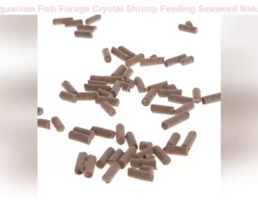 Best Fish Food Aquarium Fish Forage Crystal Shrimp Feeding Seaweed Natural Nutrition Vitamin Health