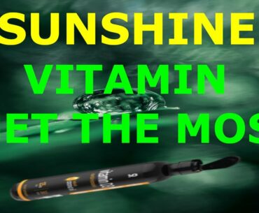 Sunshine vitamin get the most.