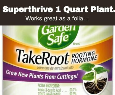 Superthrive 1 Quart Plant Vitamin and Hormone Supplement