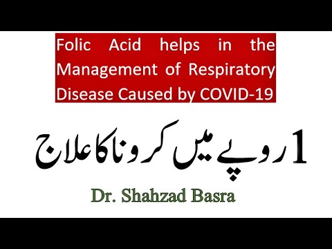 Folic acid helps lungs function during COVID19