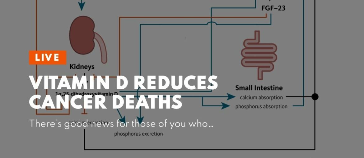 Vitamin D Reduces Cancer Deaths