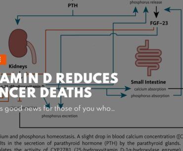 Vitamin D Reduces Cancer Deaths