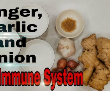 POWER OF GINGER,GARLIC AND ONION | FOR IMMUNE SYSTEM IMPROVEMENT | ANTIBACTERIAL