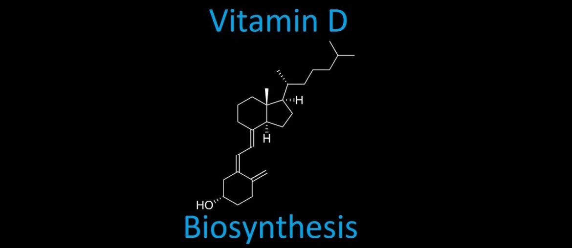 Nutrition 18 | Fat Soluble Vitamins 5 - Vitamin D