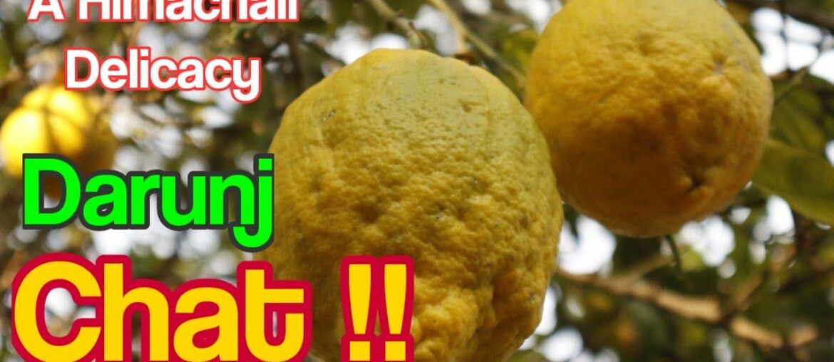 Vitamin C ka Overdose | Darunj Ki Chat | Citron Fruit Chat | A Himachali Delicacy | Intro: Saanvi