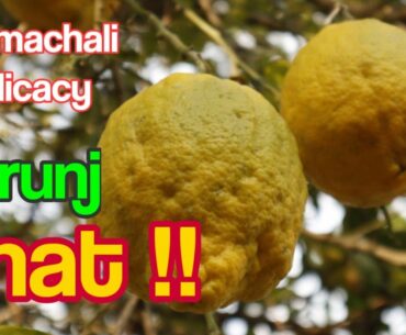 Vitamin C ka Overdose | Darunj Ki Chat | Citron Fruit Chat | A Himachali Delicacy | Intro: Saanvi