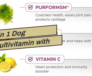 10 in 1 Dog Multivitamin with Glucosamine - Essential Dog Vitamins with Glucosamine Chondroitin...
