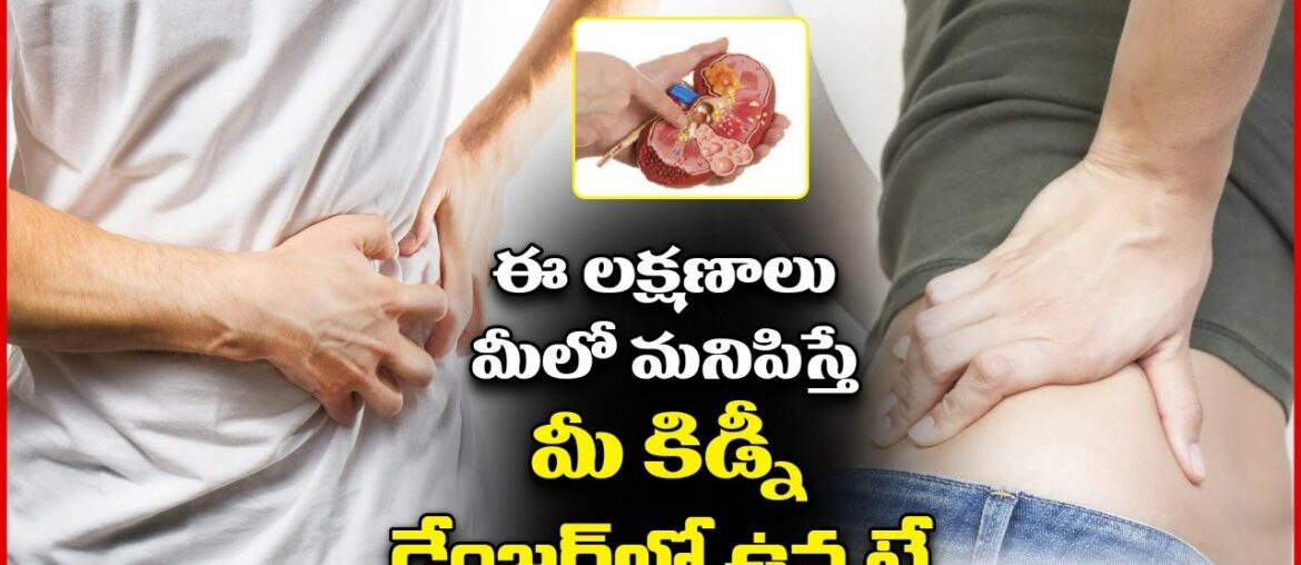 Kidney Disease: What You Should Know? | Types Of Kidney Disease | Foods To Avoid For Kidney Disease