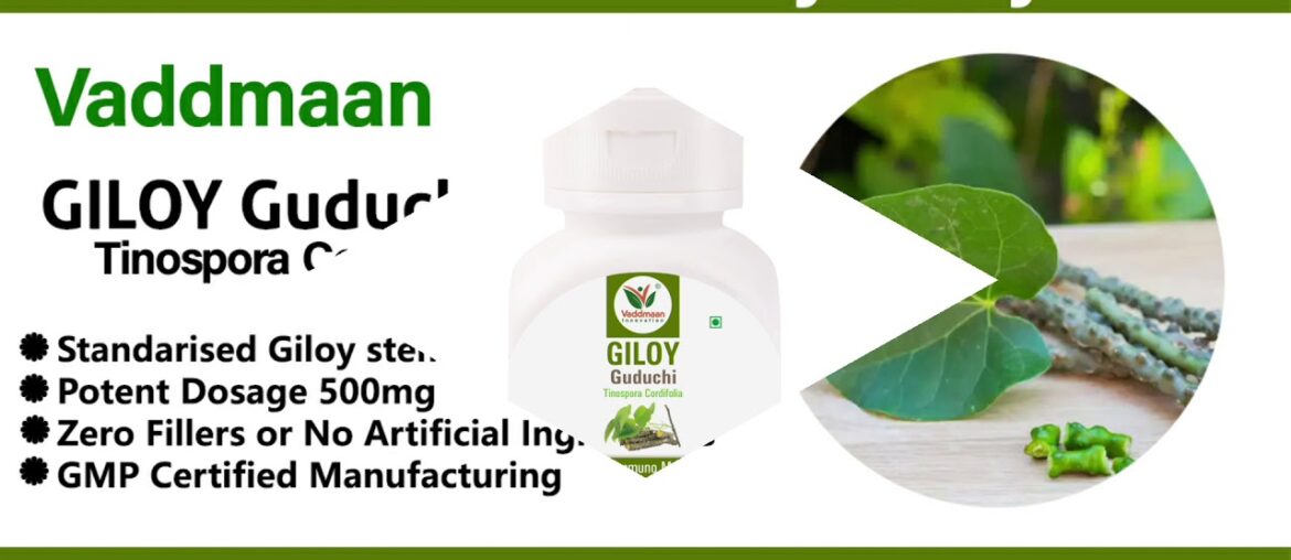 Vaddmaan Giloy - Immune Booster & Men's Wellness Supplement