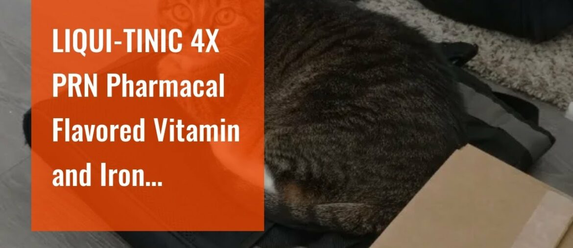 LIQUI-TINIC 4X PRN Pharmacal Flavored Vitamin and Iron Supplement for Dogs, Cats, Puppies and K...