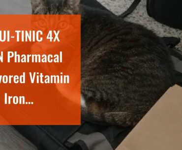 LIQUI-TINIC 4X PRN Pharmacal Flavored Vitamin and Iron Supplement for Dogs, Cats, Puppies and K...