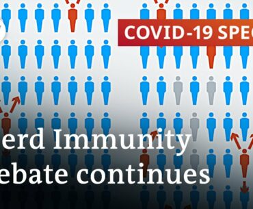 Experts argue about herd immunity as a strategy in the fight against coronavirus | COVID-19 Special
