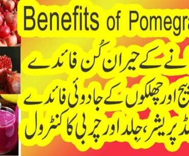 Anaar/Pomegranate/pomegranate tree/pomegranate taste/pomegranate benefits/pomegranate nutrition/seed