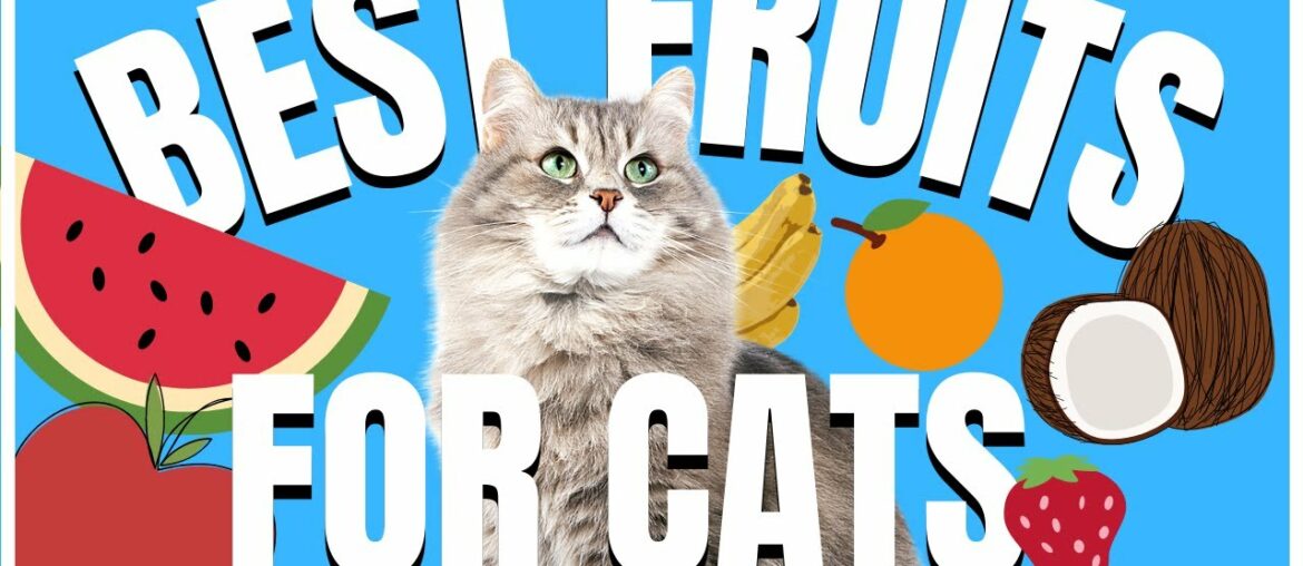 Cats 101 : Best Fruits for Cats