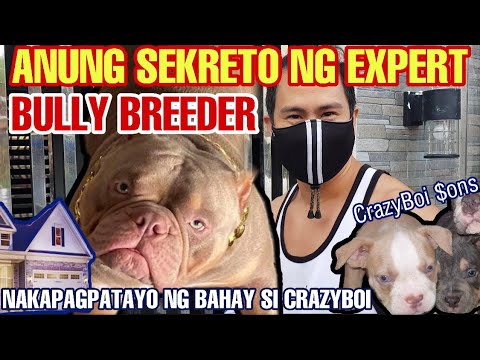 PAANO INAALAGAAN ANG NEWBORN $$$ PUPPIES| COMPLETE VITAMINS & SUPPLEMENTS GUIDE | BAYABAS KENNEL