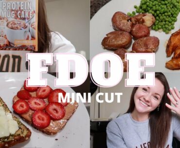 Full Day of Eating: Mini cut