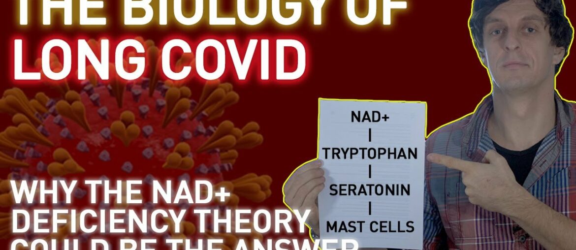 The Biology of Long Covid | Why the NAD+ Deficiency Theory Could Be The Answer