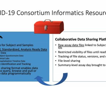 HGRepo Informatics Framework for the NIAID/DIR COVID-19 Immune Response Consortium