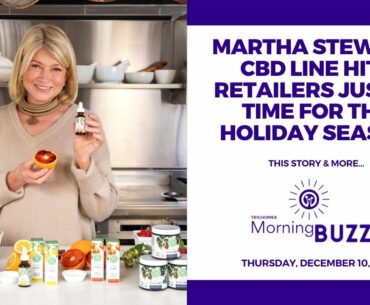 MARTHA STEWART CBD LINE  HITS RETAILERS JUST IN TIME FOR THE HOLIDAY SEASON | TRICHOMES Morning Buzz