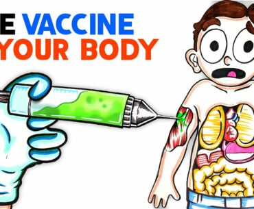 What The Coronavirus Vaccine Does To Your Body