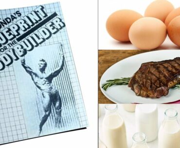 VINCE'S DIETARY GUIDE TO BODYBUILDING NUTRITION! BLUEPRINT FOR THE BODYBUILDER REVIEW