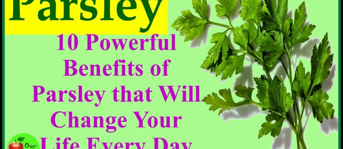 Parsley - 10 Powerful Benefits of Parsley that Will Change Your Life Every Day