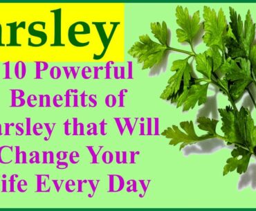 Parsley - 10 Powerful Benefits of Parsley that Will Change Your Life Every Day