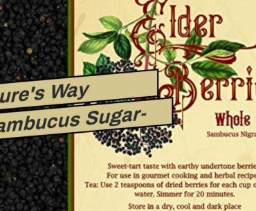 Nature's Way Sambucus Sugar-Free Elderberry Syrup, Herbal Supplements, Gluten Free, Vegetarian,...